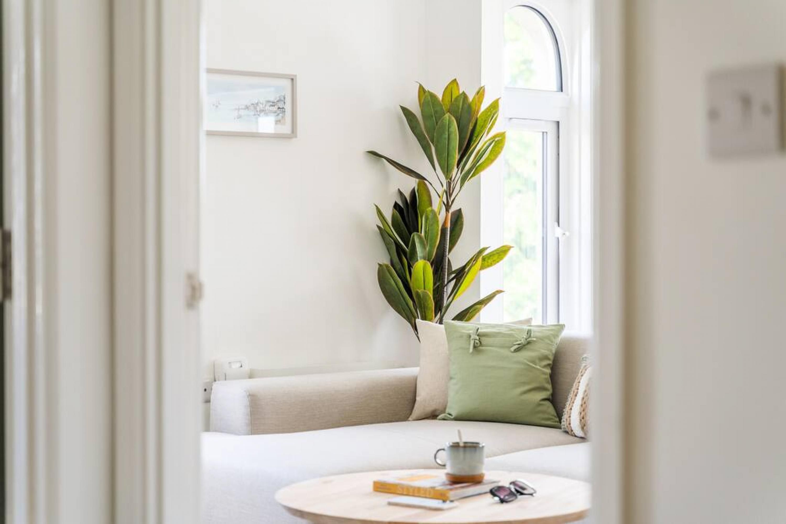 A cozy seating area with a sofa, a small round table, and a potted plant.
