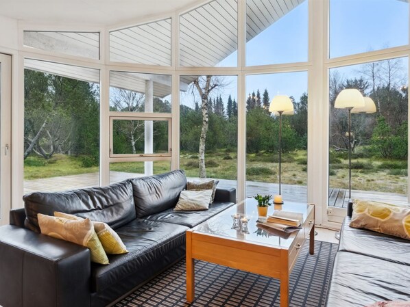 Televisión, chimenea y reproductor de DVD 