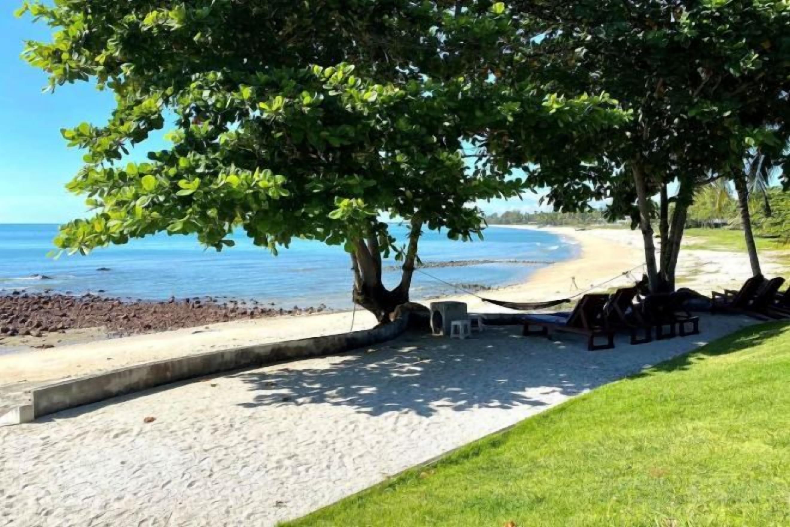 A beach with a sandy area, a few trees, and lounge chairs.
