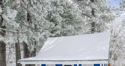 Peaceful 1-bedroom cabin in Green Valley Lake