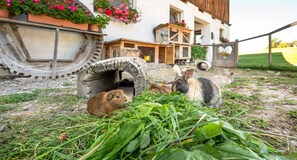 Property grounds - Apartment 'Furnerhof Apt Olpenglühn' with Mountain View, Shared Garden and Wi-Fi (Collepietra)
