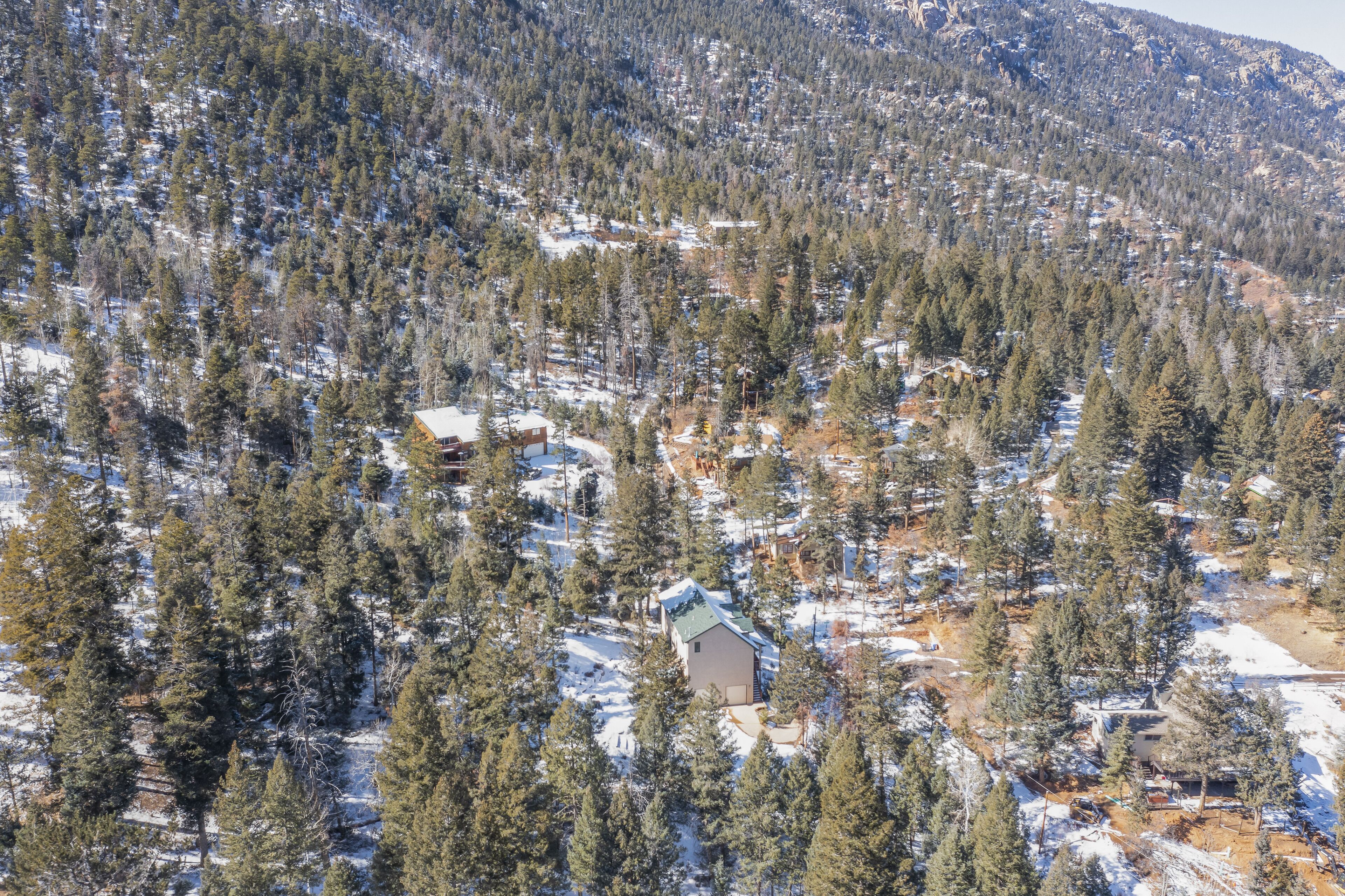 Una cabaña aislada rodeada de un bosque denso y terreno cubierto de nieve.