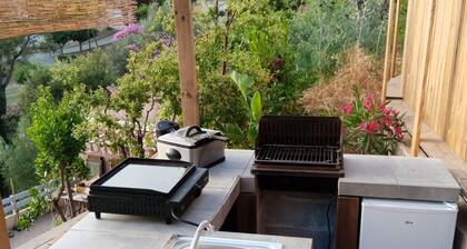 Panorama Somptueux sur le Golf et les Iles Sanguinaires 3 Chambres