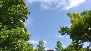 A rustic wooden building with a sloped roof, surrounded by lush green trees.