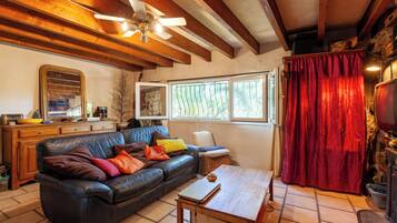 Chimenea, reproductor de DVD y estéreo