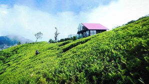 A building with a red roof on a lush green hillside. - The Blackberry Cottage (Nuwara Eliya)