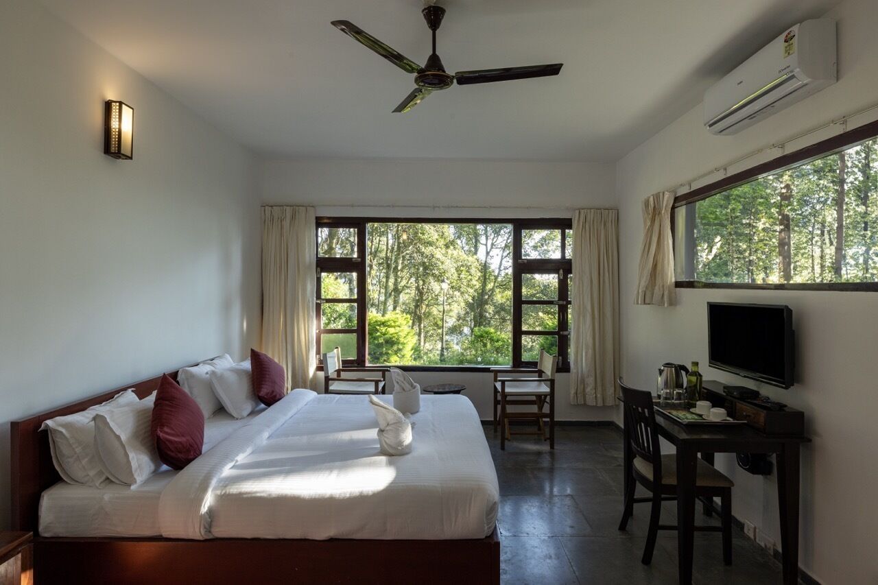 A hotel room with a bed, a desk with a TV, a ceiling fan, and large windows with a forest view.