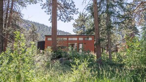 A modern log cabin surrounded by dense forest and tall trees. - Ptarmigan Tiny Home (#10) at The Woolly Bugger Inn (Estes Park)