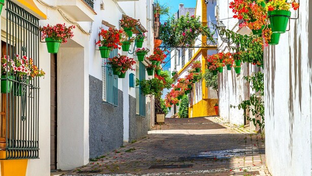 A narrow street with white buildings, balconies with green planters, and a cobblestone path.