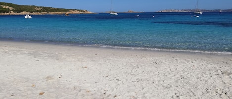 Ranta
