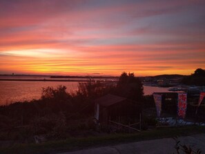 Miscellaneous - Minsuyku Sazanami (Nishio)