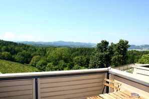 View from property - Hotel Garni Am Seggauberg (Leibnitz)