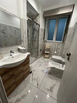 Shower, hair dryer, bidet, towels
