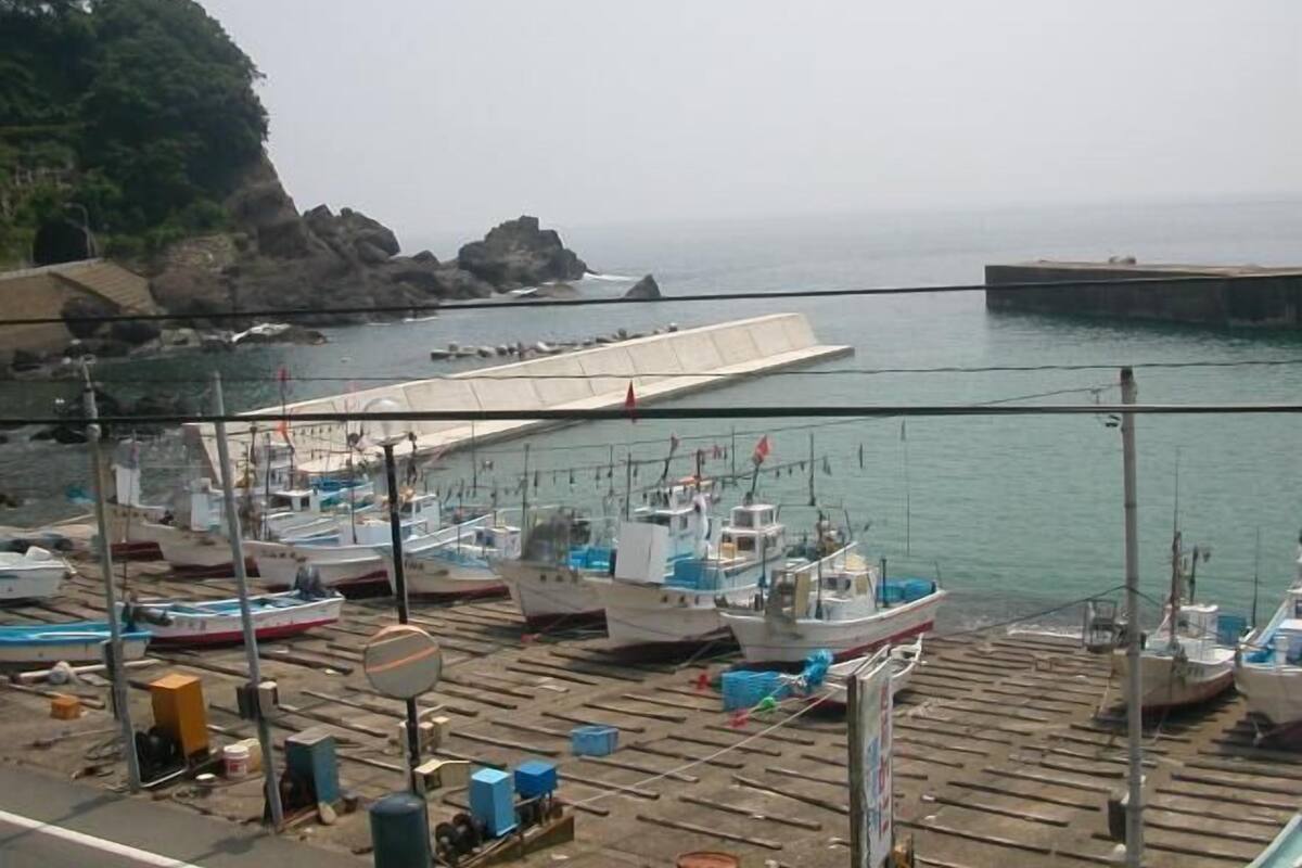 A marina with boats docked, a rocky coastline, and a pier extending into the water.