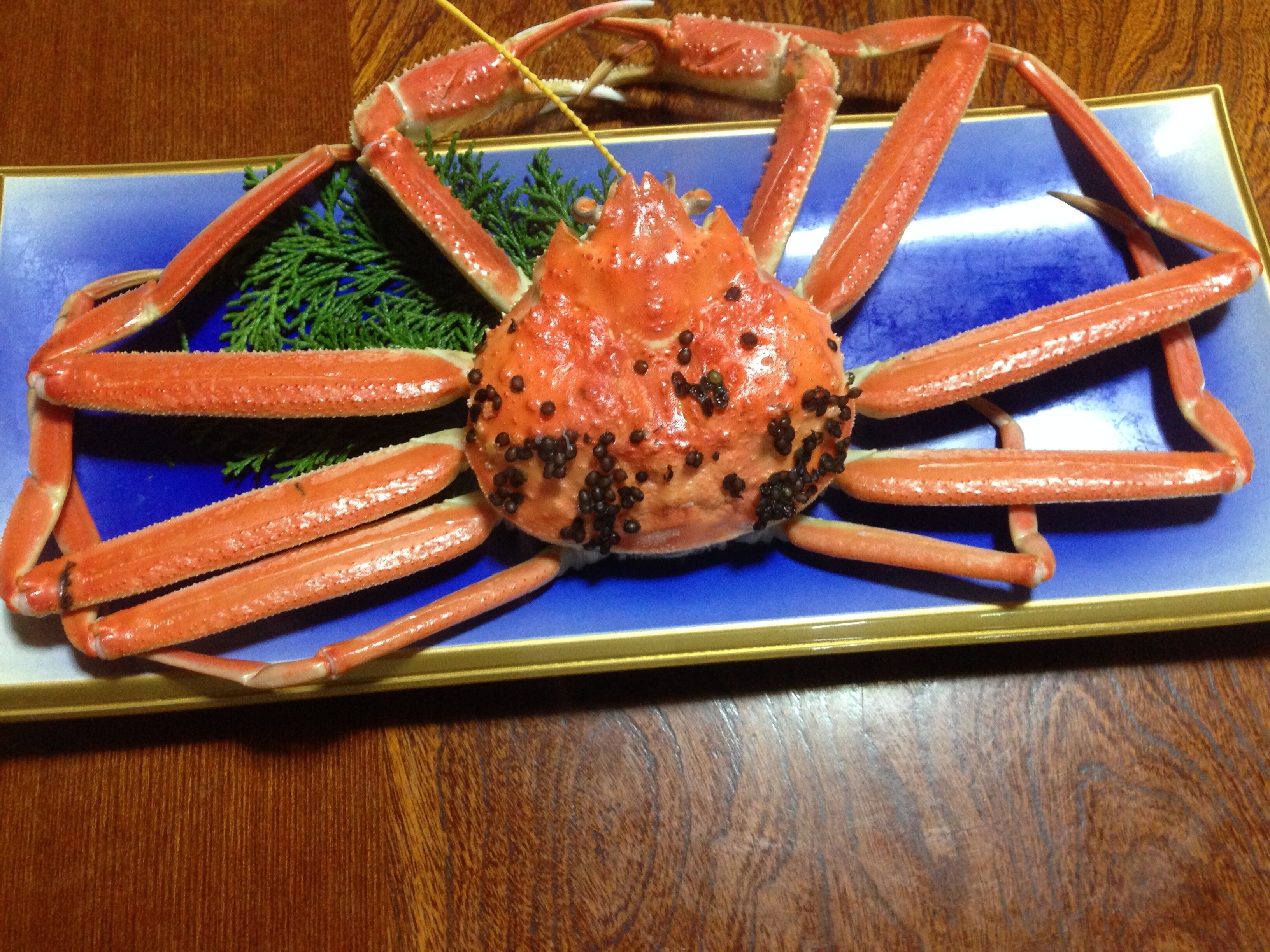 Comida y bebida