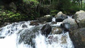 Miscellaneous - Minshuku Tozanguchi Onsen (Kirishima)