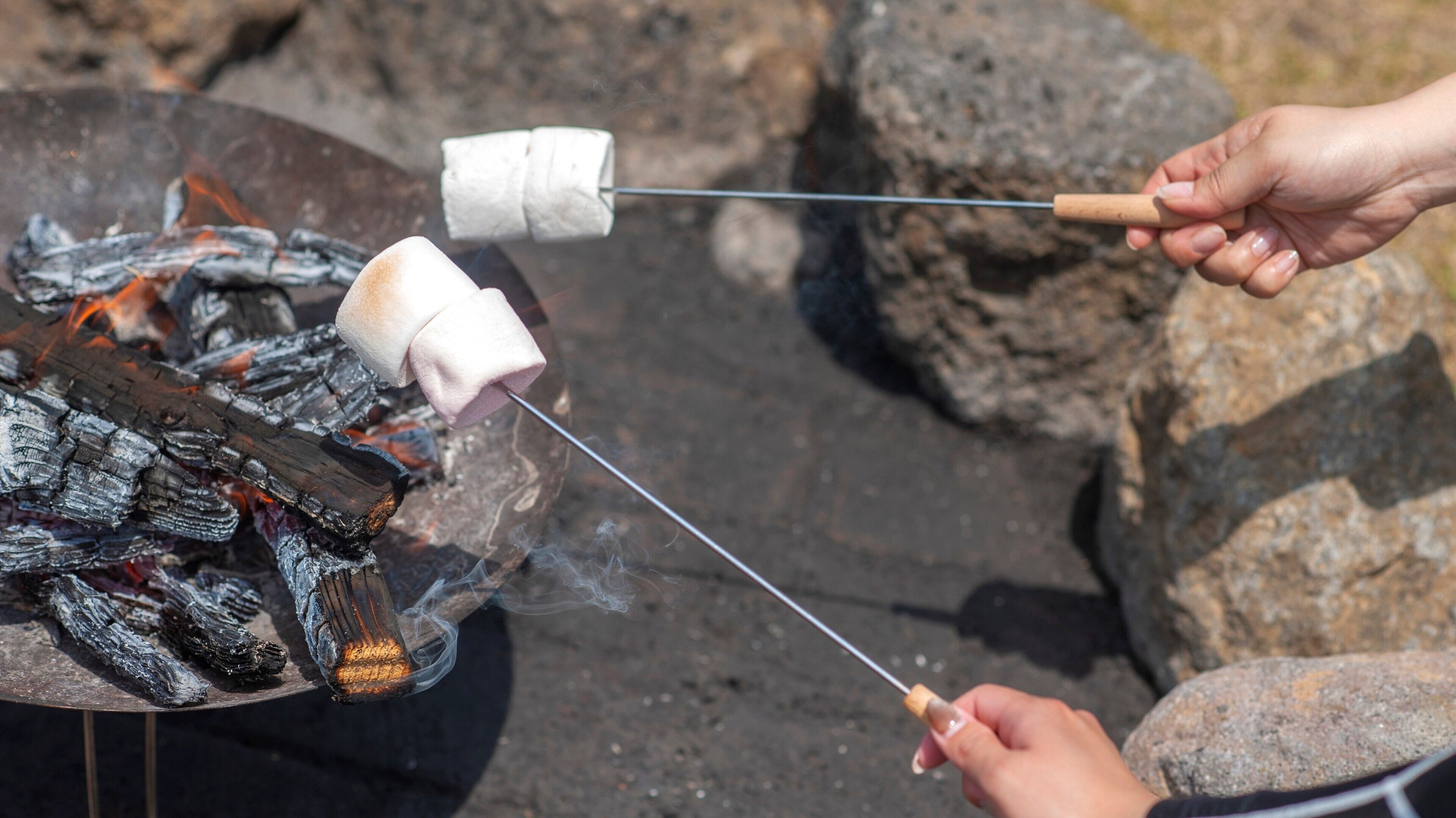 A person roasting marshmallows over an open fire.