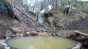 Una fuente termal natural rodeada de rocas y árboles.