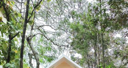 Dara Express by Angkor Green Gardens