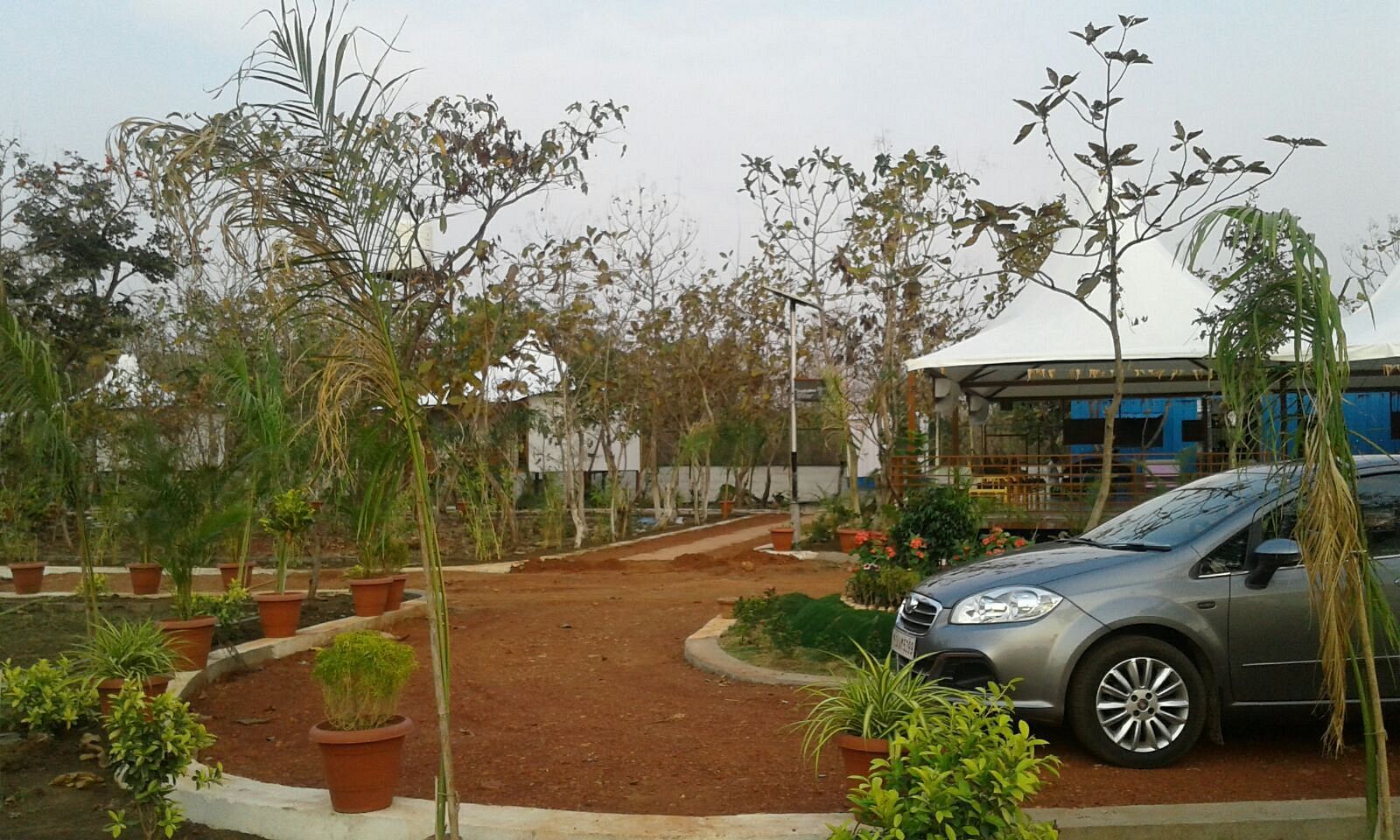 A parking area with a car, surrounded by potted plants and trees.