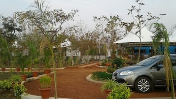 Un área de estacionamiento con un automóvil, rodeada de plantas en macetas y árboles.