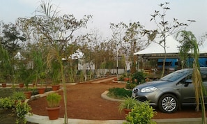 Un área de estacionamiento con un automóvil, rodeada de plantas en macetas y árboles.