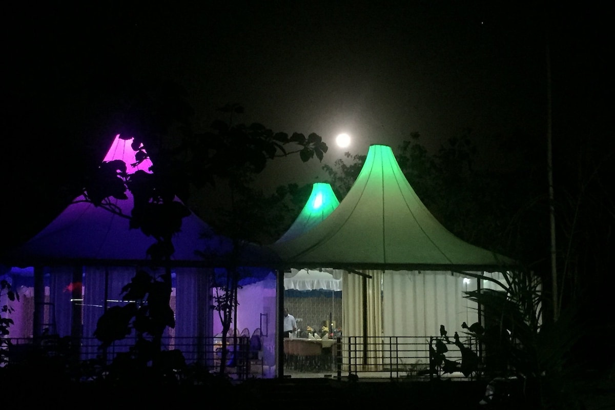 Una tienda de campaña con techo verde, una habitación iluminada de morado y una luna de fondo.