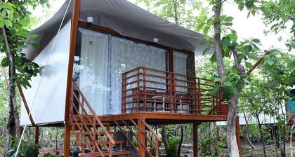 Jayshrea Meadows Tadoba Tiger Resort