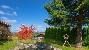 A pond surrounded by rocks, with a wooden birdhouse and a tree in the background. - Hotel JMS Holiday Allgäu (Oberreute)