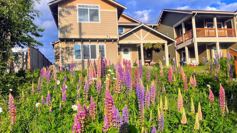 Central Tacoma Homestay -private room-