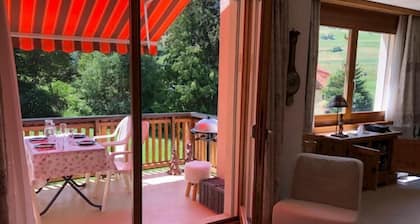 Abitaziun Silvia Sur Baselgia