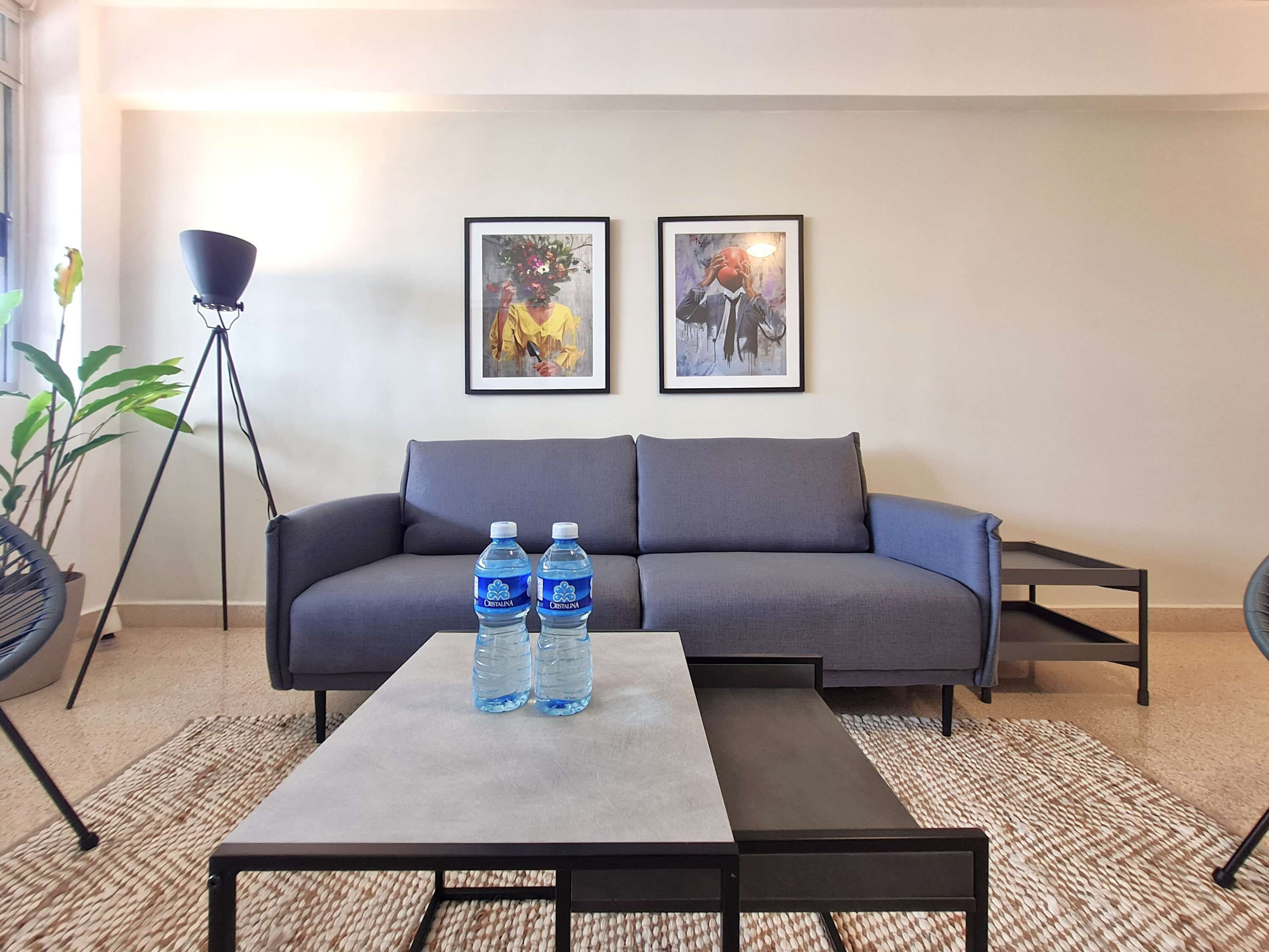 Een woonkamer met een grijze bank, twee ingelijste kunstwerken, een salontafel met twee waterflessen, een vloerlamp en een potplant.