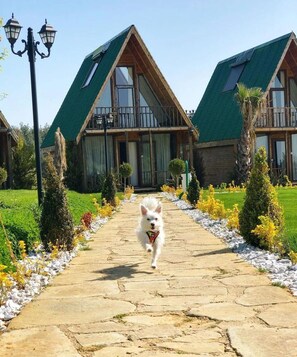 Exterior - Bisanthe Panorama Sütlüce Dağ Evleri (Tekirdag)