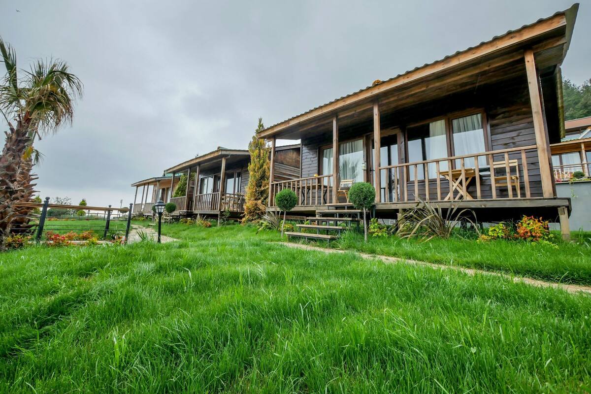 A row of wooden cabins with balconies, surrounded by lush green grass and a palm tree.