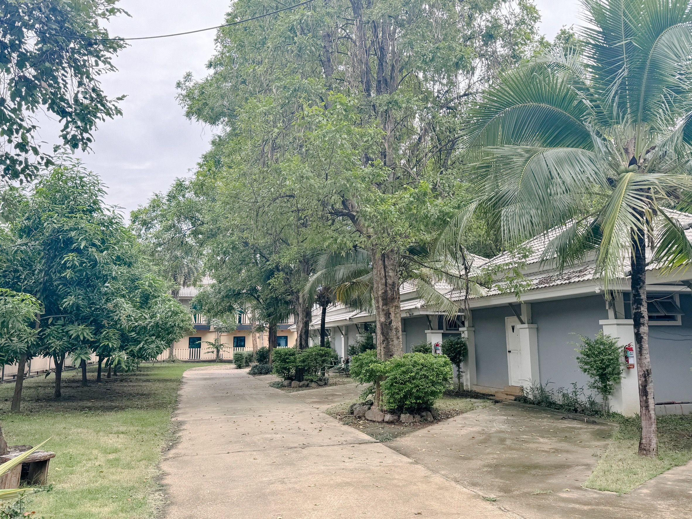 Zona residencial con un camino pavimentado, árboles y un edificio con tejado de tejas.