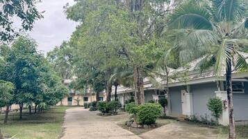 Zona residencial con un camino pavimentado, árboles y un edificio con tejado de tejas.