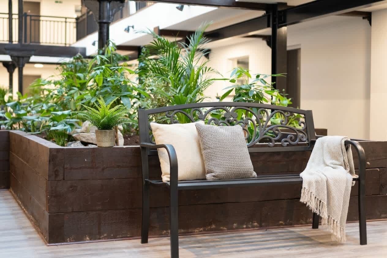 A bench with cushions, surrounded by greenery and a wooden planter.