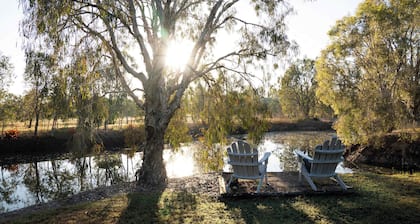 Shady Creek by Tiny Away