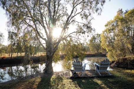 Property grounds. Shady Creek by Tiny Away