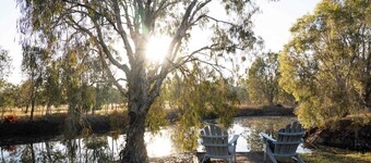Shady Creek by Tiny Away