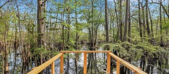 Peaceful Cabin @ Ebenezer Creek