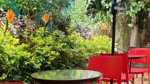 Un patio con sillas rojas y una mesa redonda, rodeado de abundante vegetación y un suelo de baldosas.