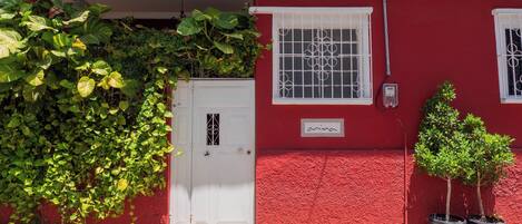 A red building with a white door, a window with a metal grille, and two potted plants on the right.