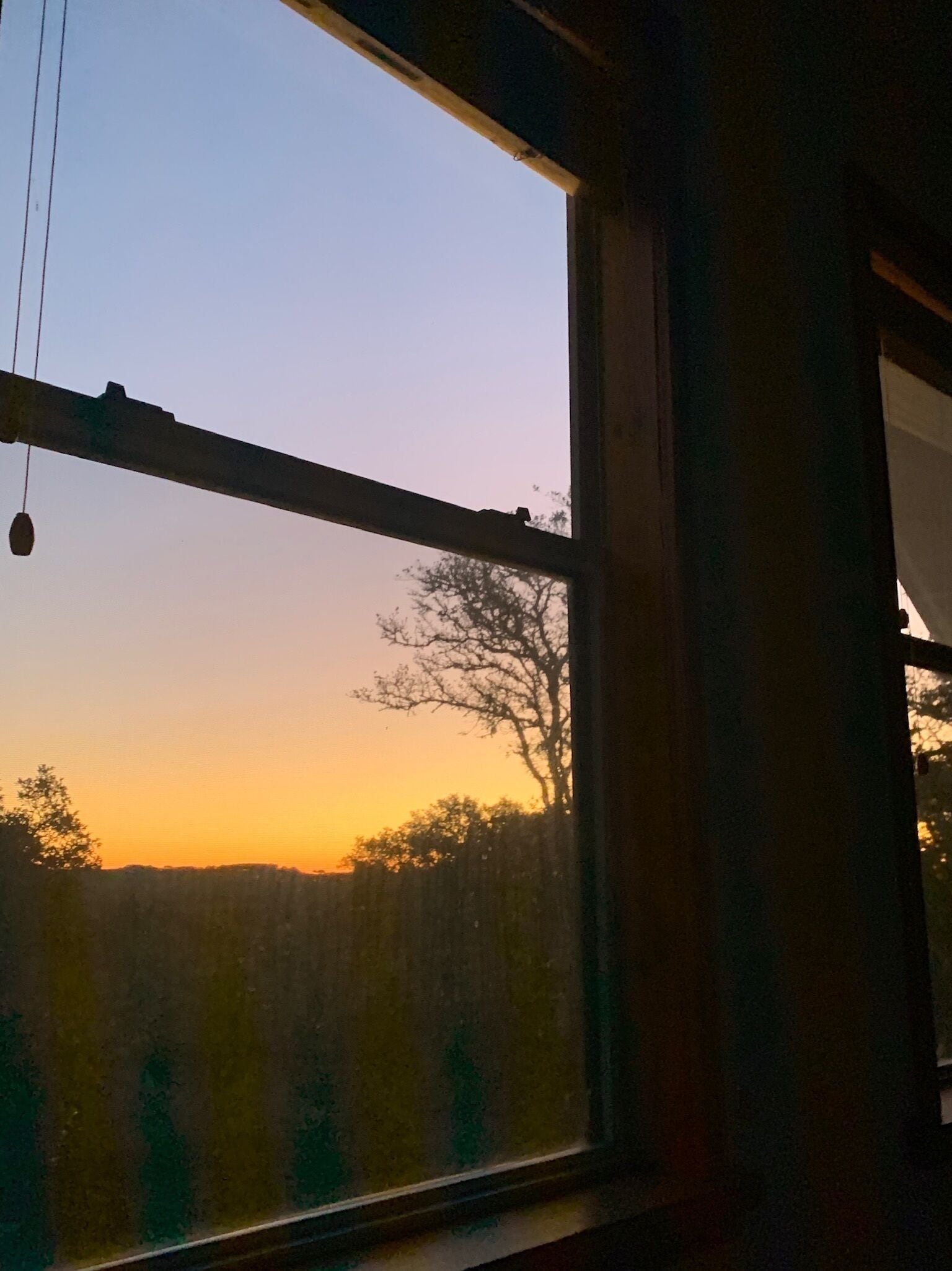 Photo - Mosaic On The Hill