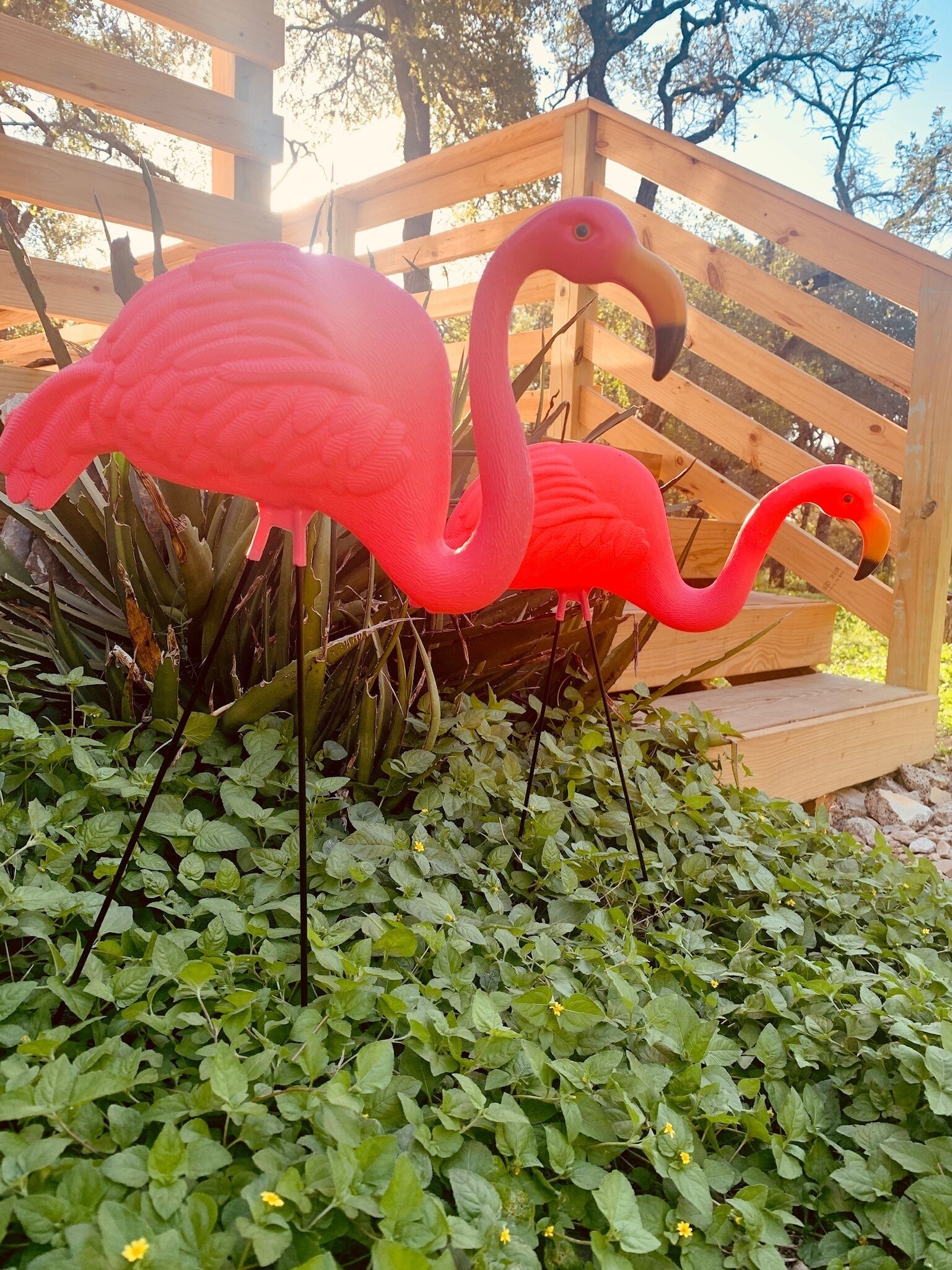 Photo - Mosaic On The Hill