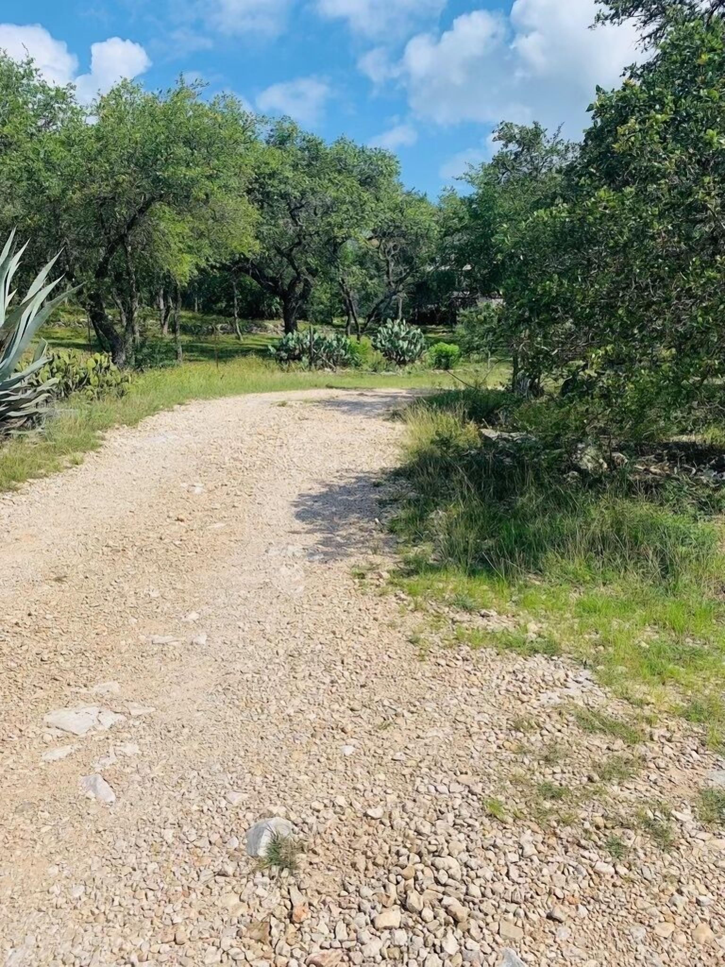 A gravel path leading through a green landscape with trees and shrubs.