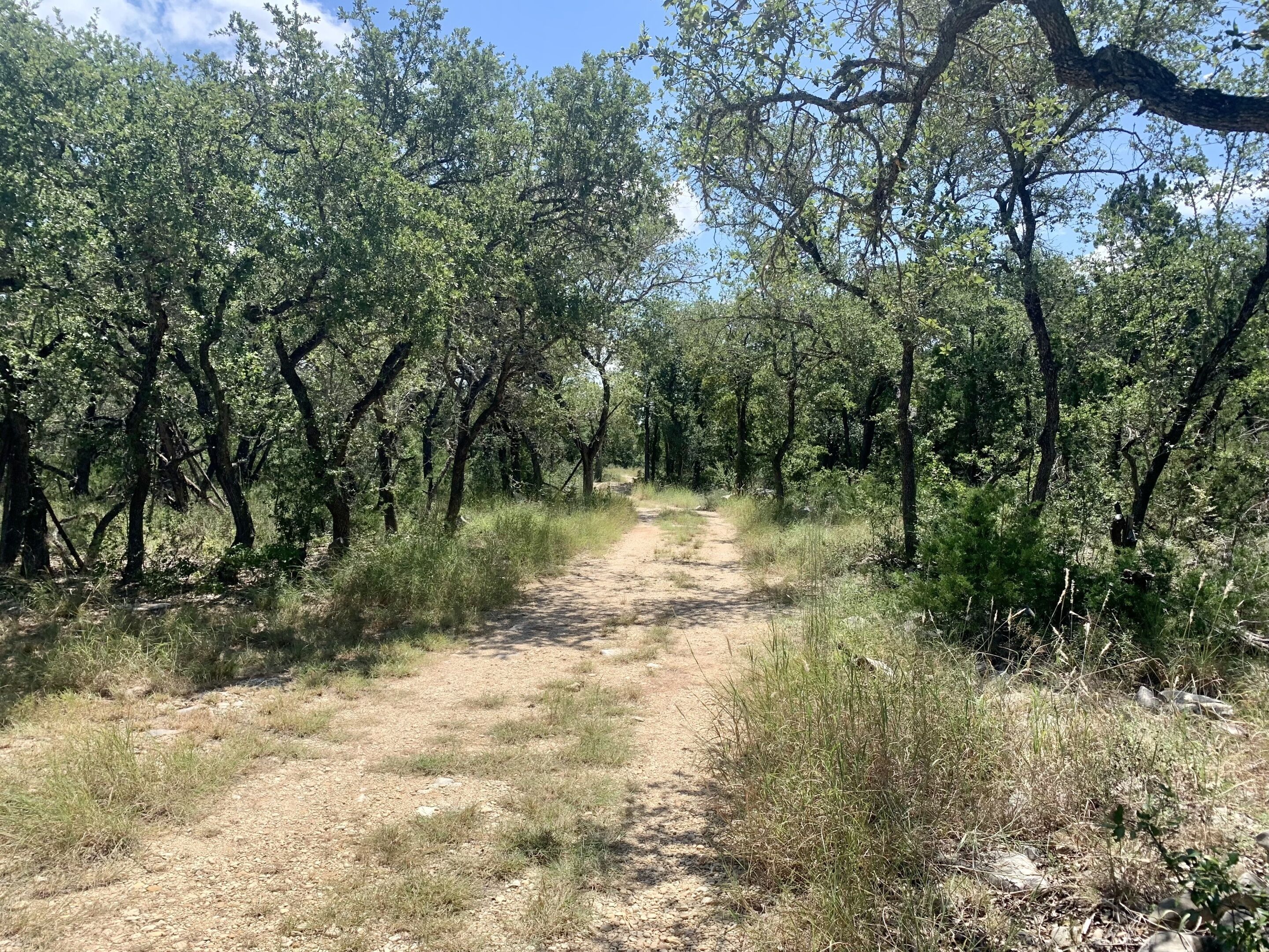 Photo - Mosaic On The Hill