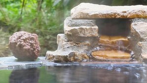 A hot spring with a stone structure and a rock in a natural setting. - Izu Kogen Onsen Bettei Ishinoya (Ito)