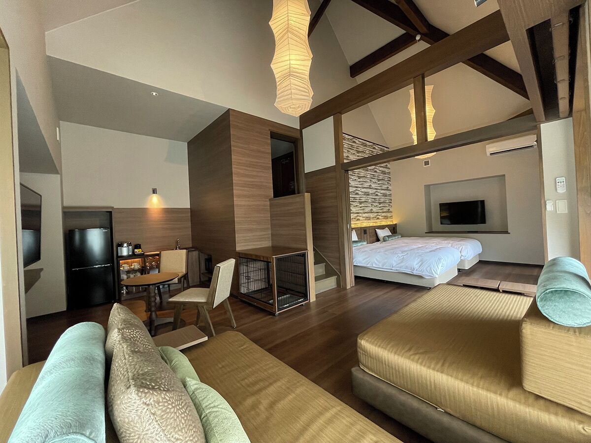A modern hotel room with a sofa, a bed, a desk, and a television.