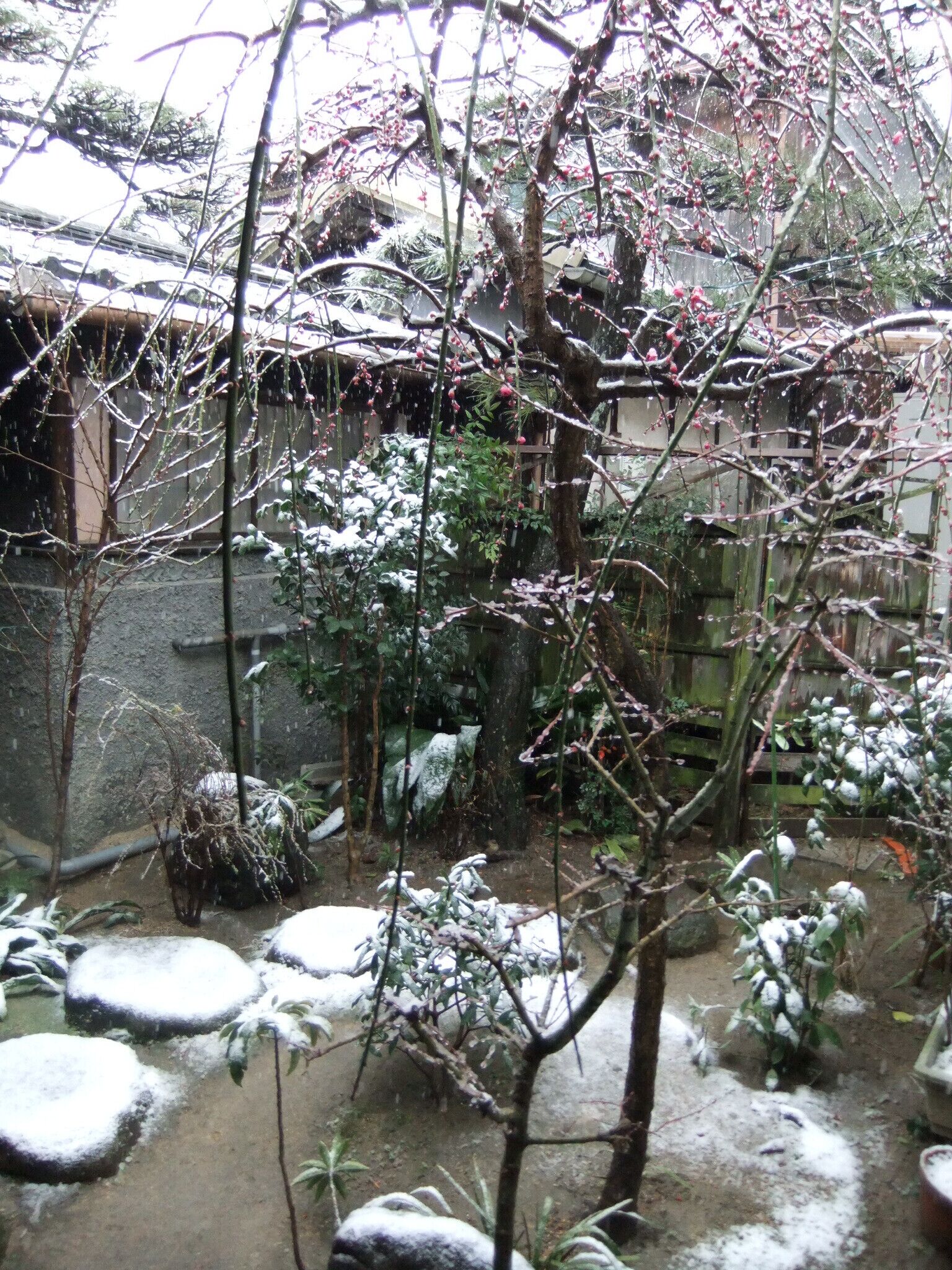 Un jardin japonais traditionnel, agrémenté de lanternes en pierre, d’une clôture en bois et d’une variété de plantes et d’arbres.